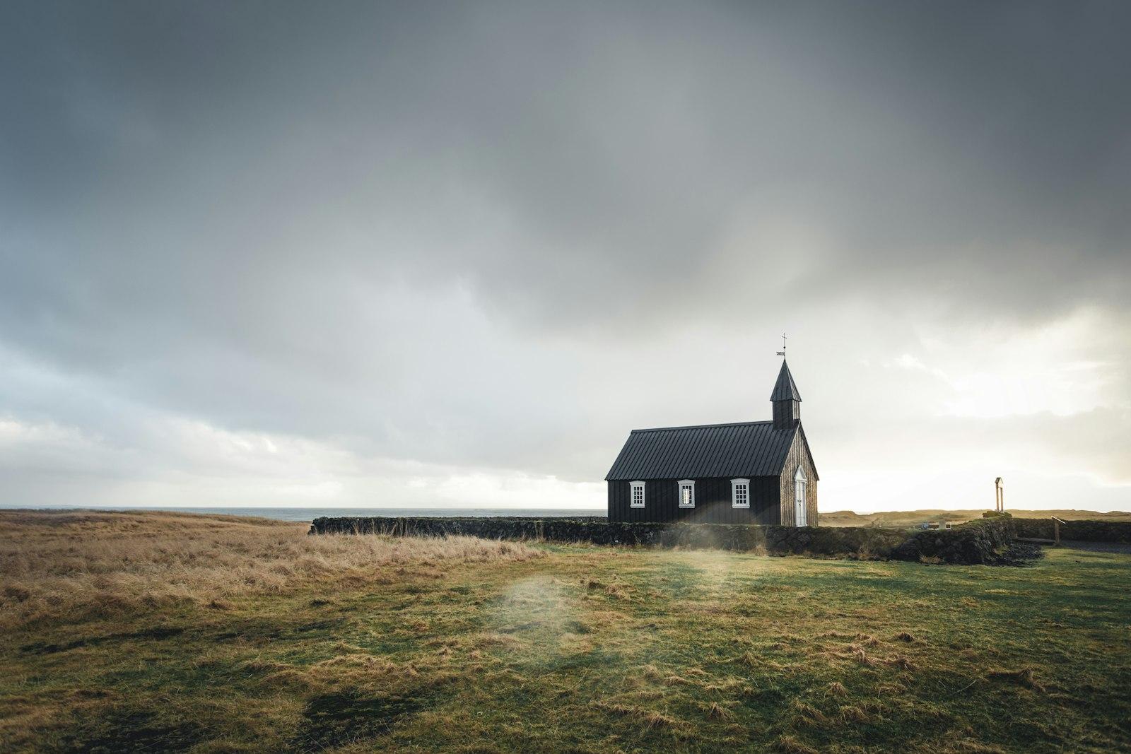 Church Surrounded By Grass jigsaw puzzle preview