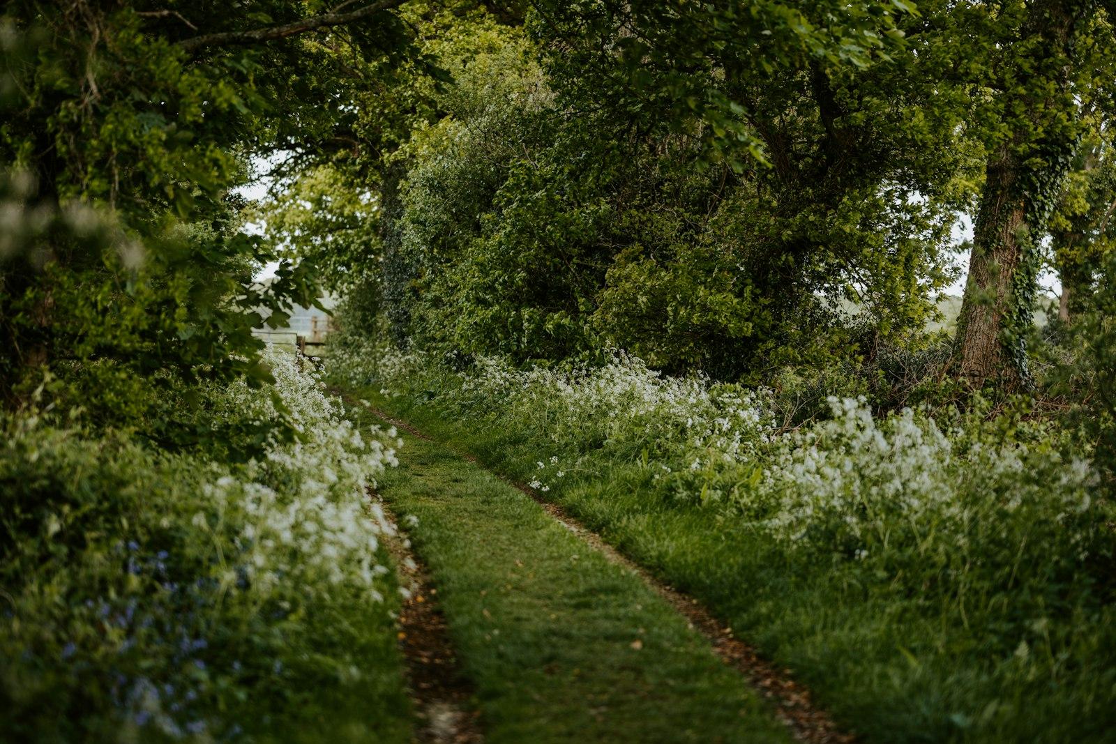 Country Rural Track jigsaw puzzle preview