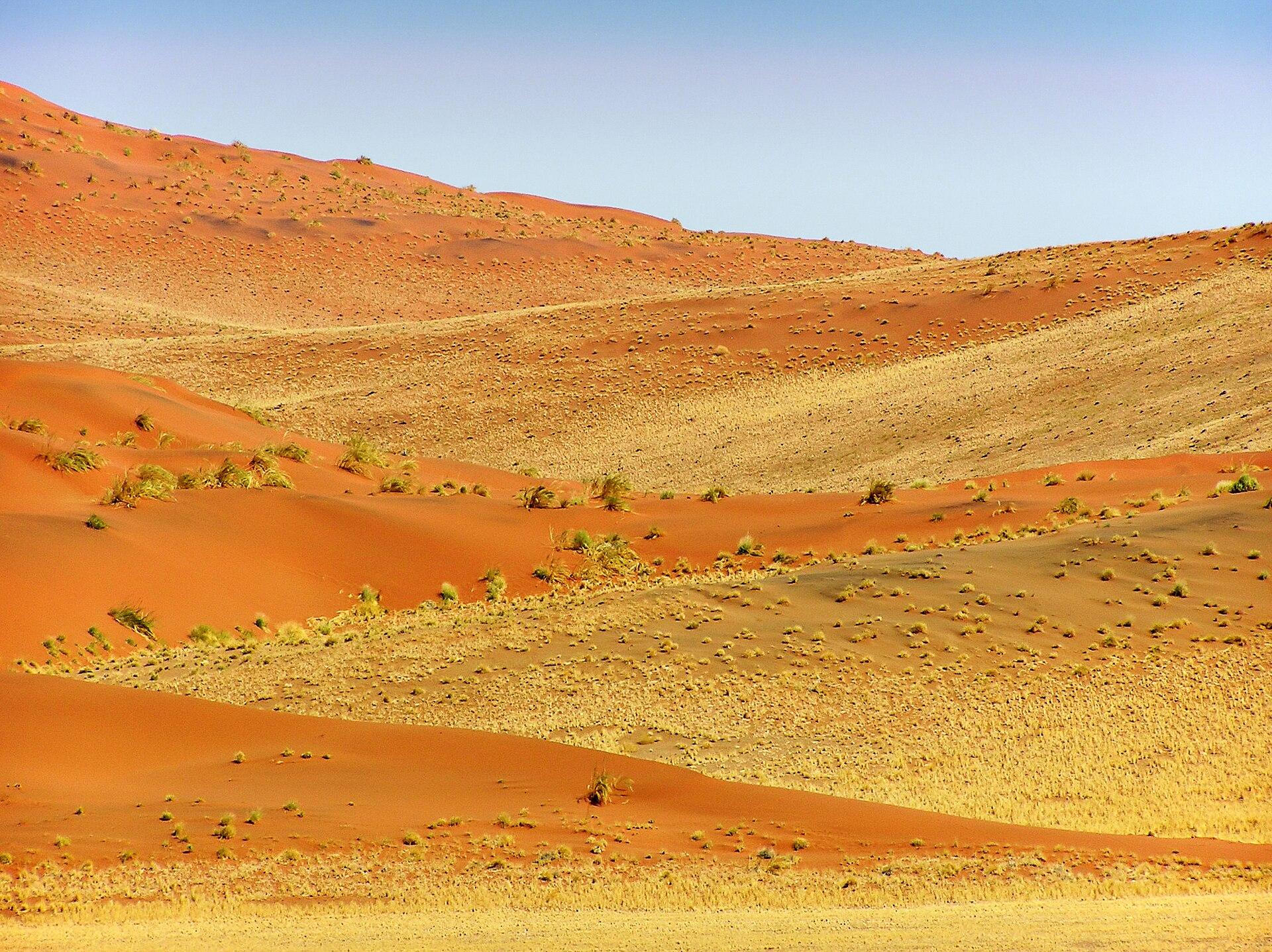Desert Sand Dunes jigsaw puzzle preview