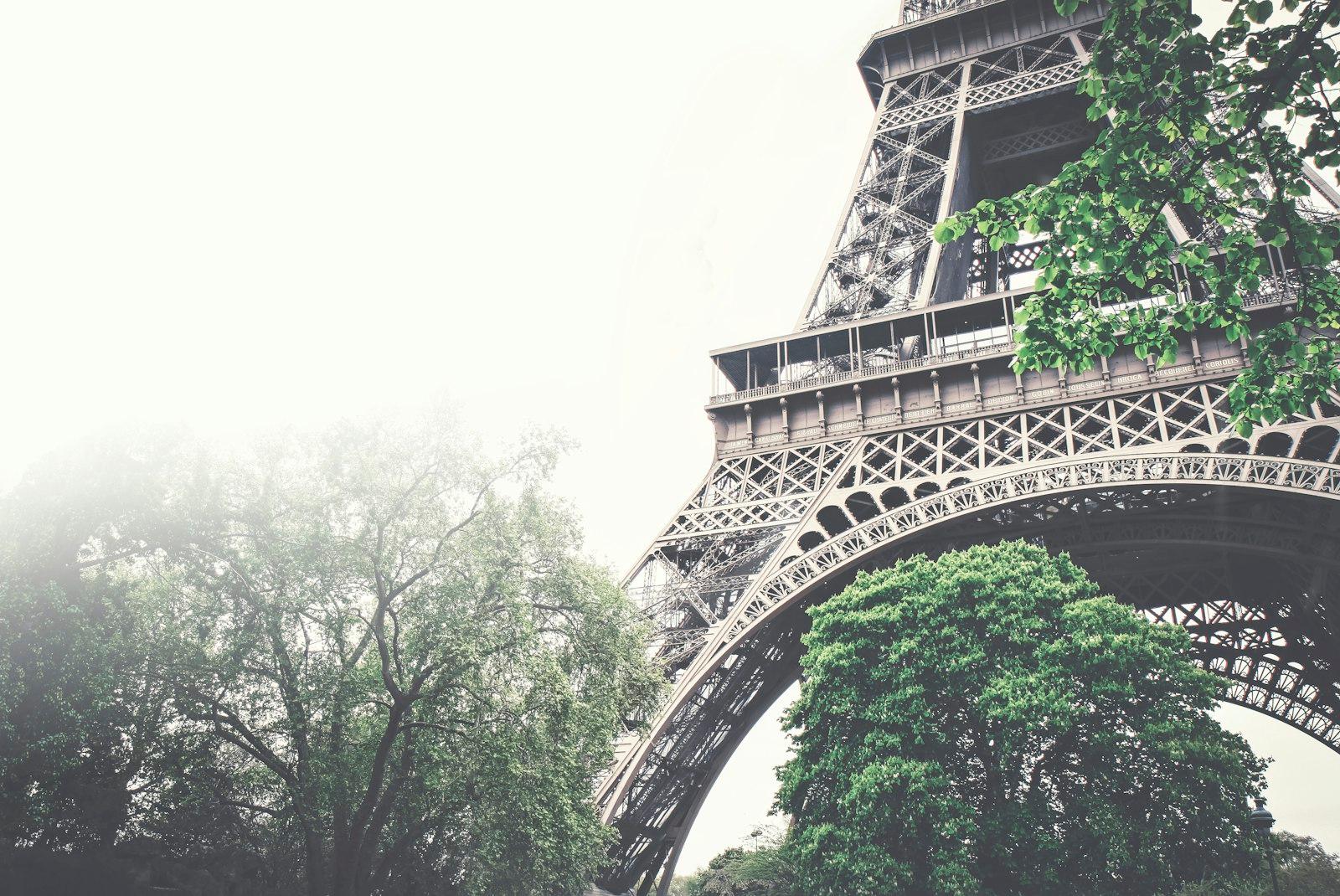 Eiffel Tower With Trees jigsaw puzzle preview