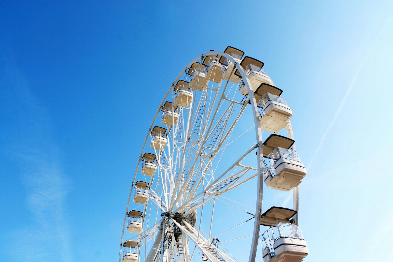 Ferris Wheel Donations Are Much Appreciated! jigsaw puzzle preview