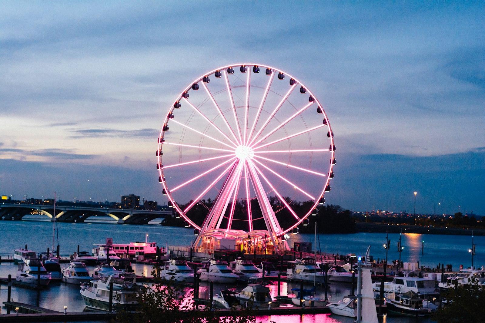 Ferris Wheel - National Harbor jigsaw puzzle preview