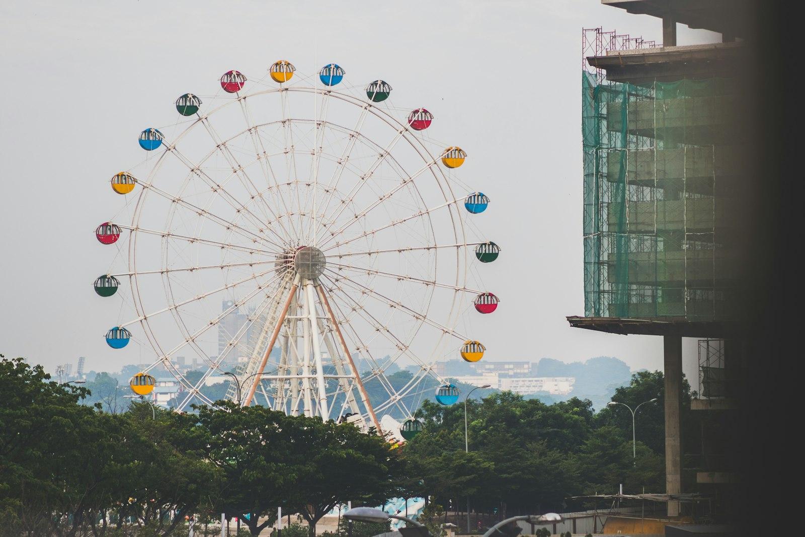Ferris Wheel Near Trees jigsaw puzzle preview