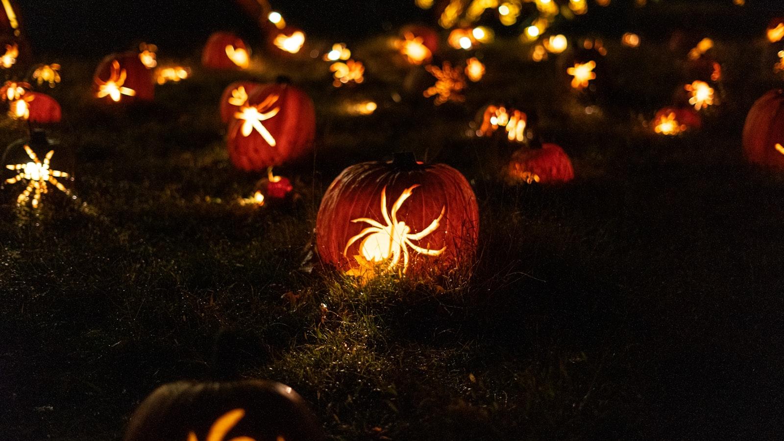 Field Of Spider Jack O'Lanterns jigsaw puzzle preview