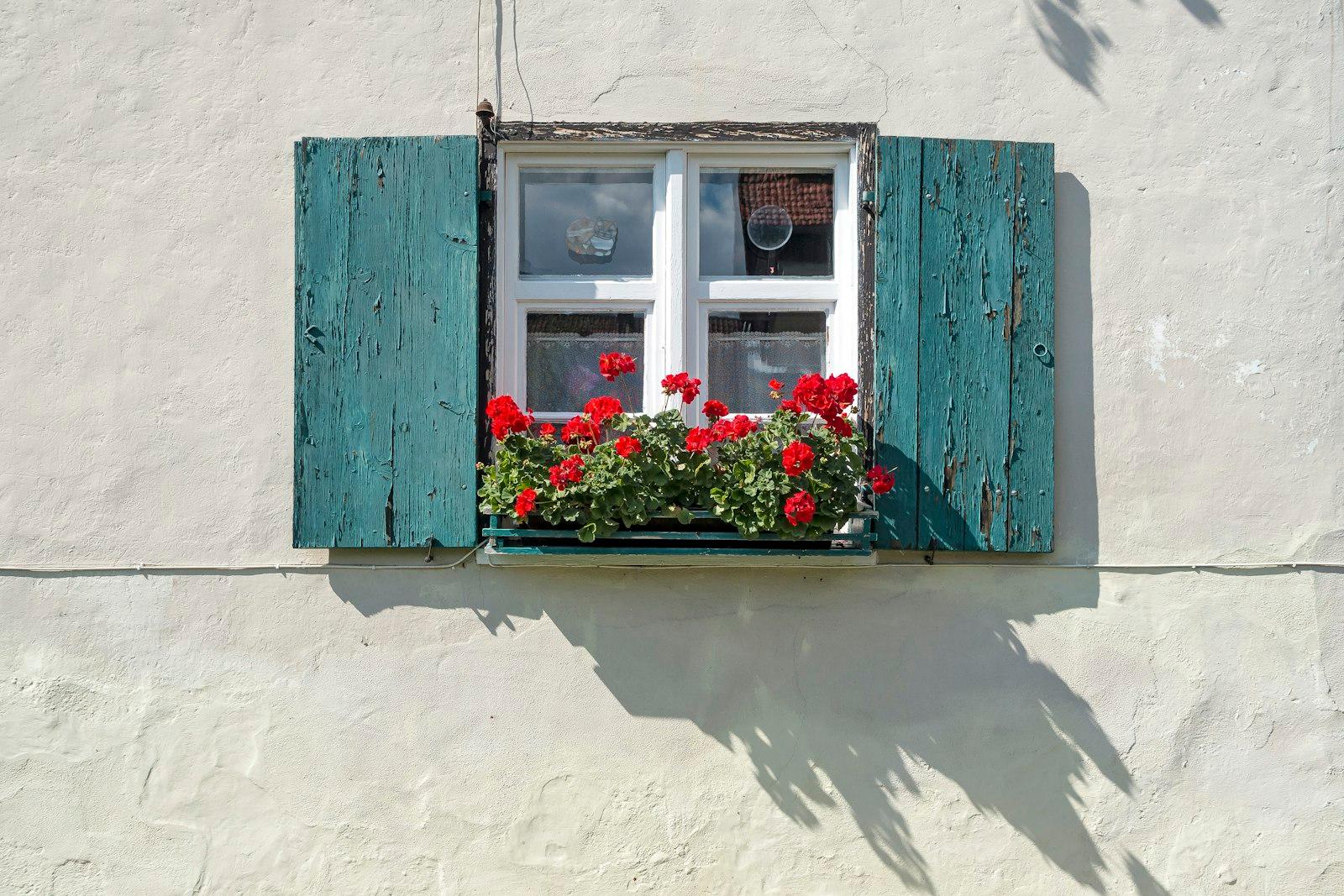 Flowers In Front Of A Lovely Little House In The M jigsaw puzzle preview