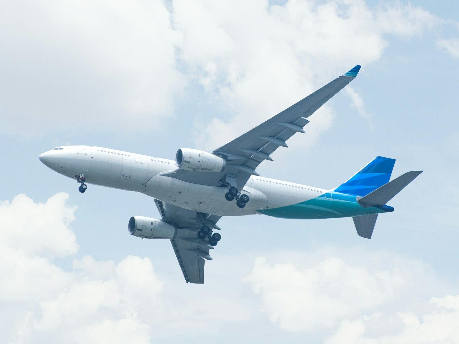 Fly Like A Bird jigsaw puzzle preview