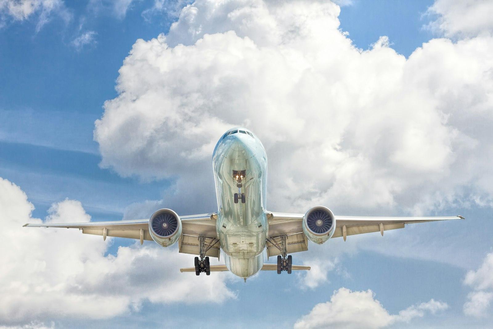 Flying Vacation jigsaw puzzle preview