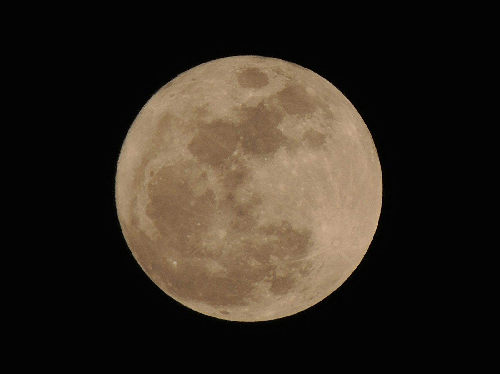 Full Moon jigsaw puzzle preview