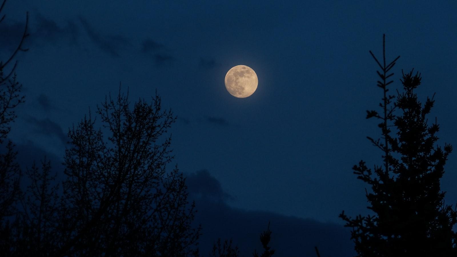 Full Moon Glow jigsaw puzzle preview