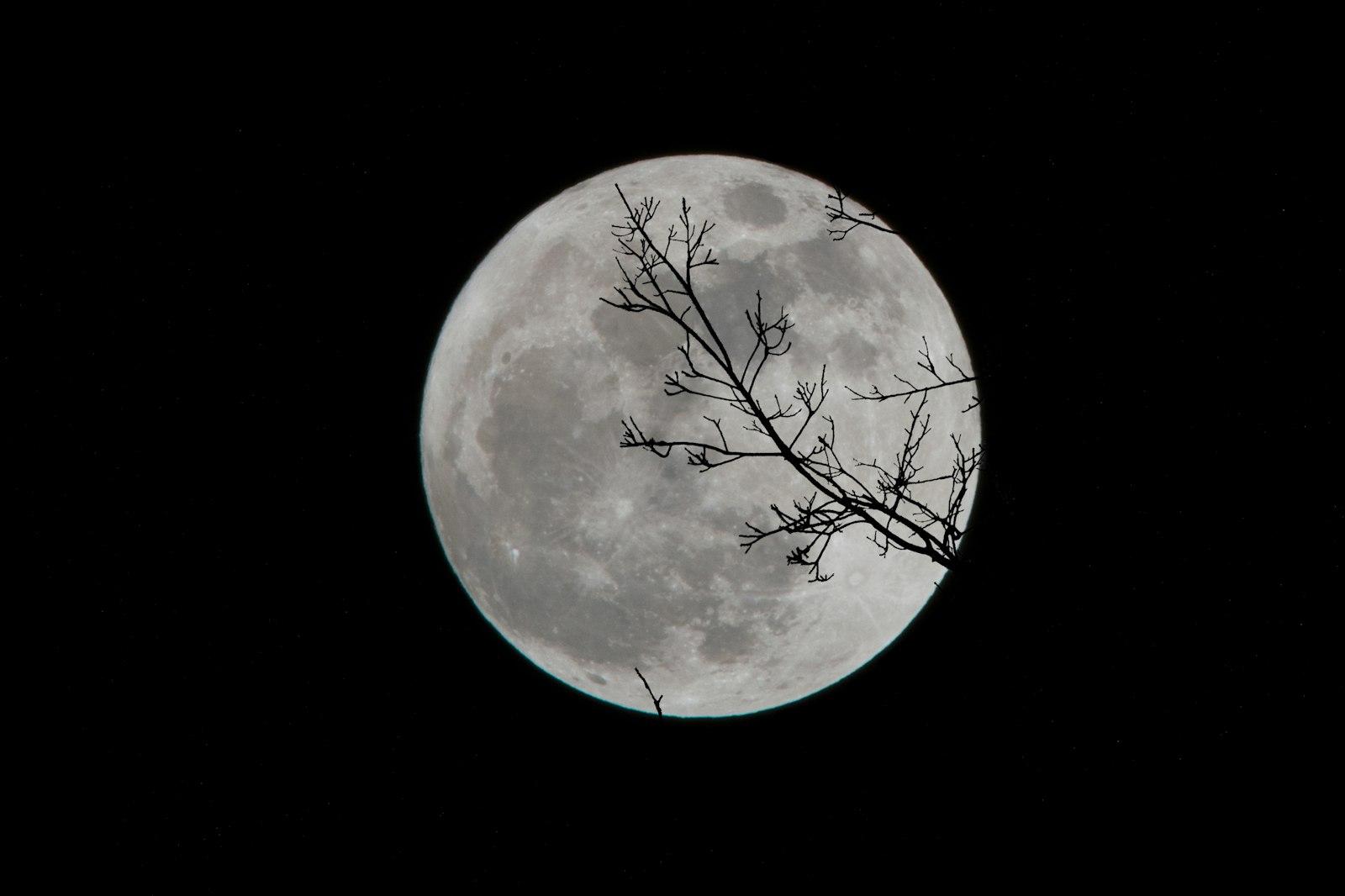 Full Moon jigsaw puzzle preview