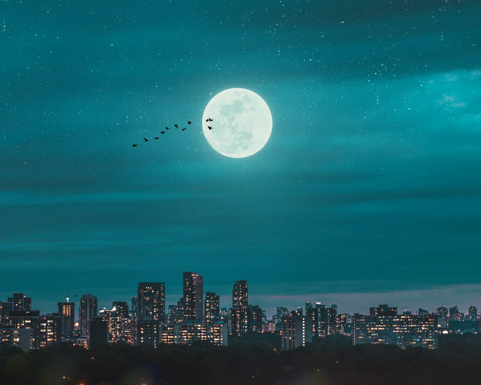 Full Moon Over City Skyline During Night Time jigsaw puzzle preview