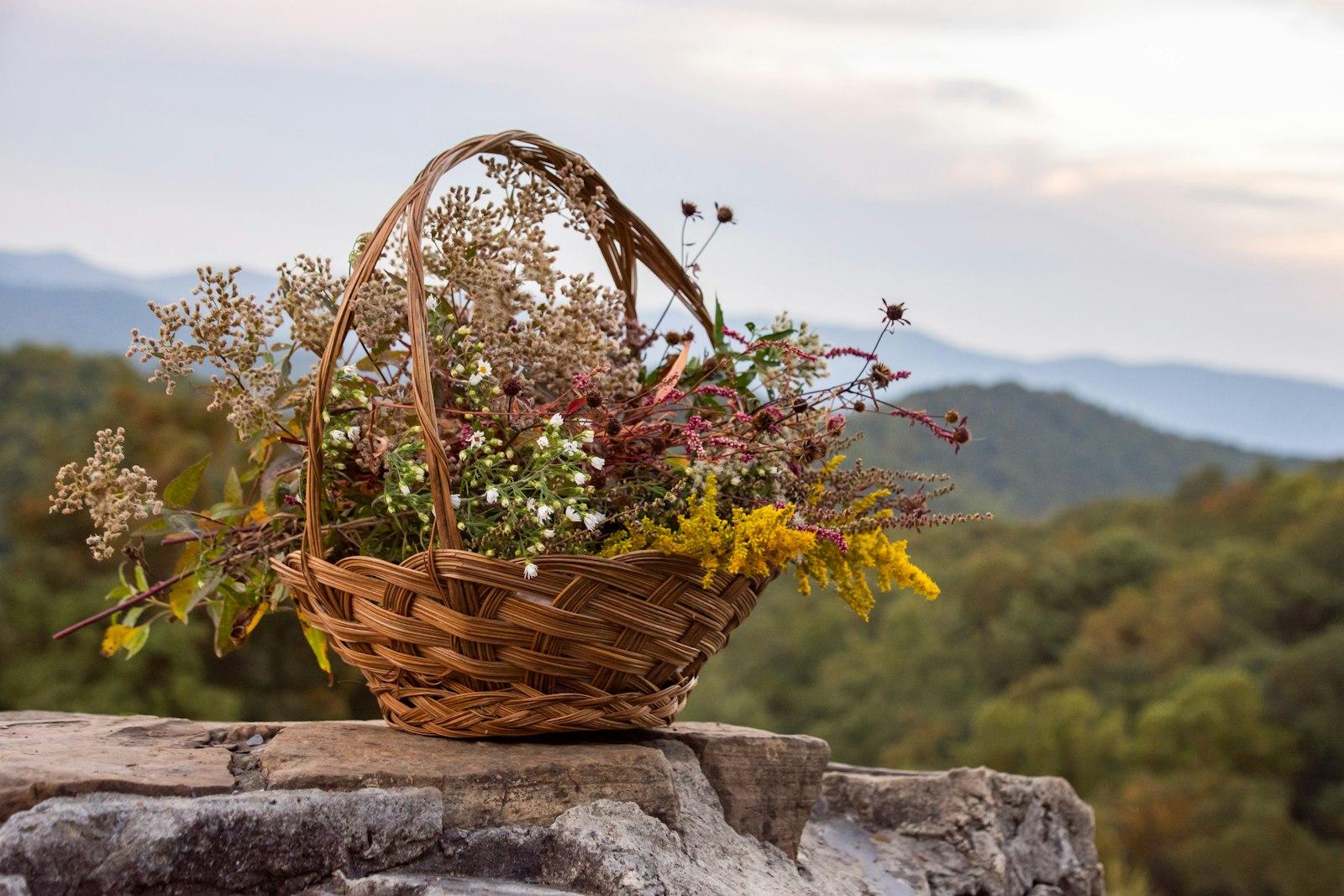 Gathering A Basket Of Wildflowers In The North Geo jigsaw puzzle preview