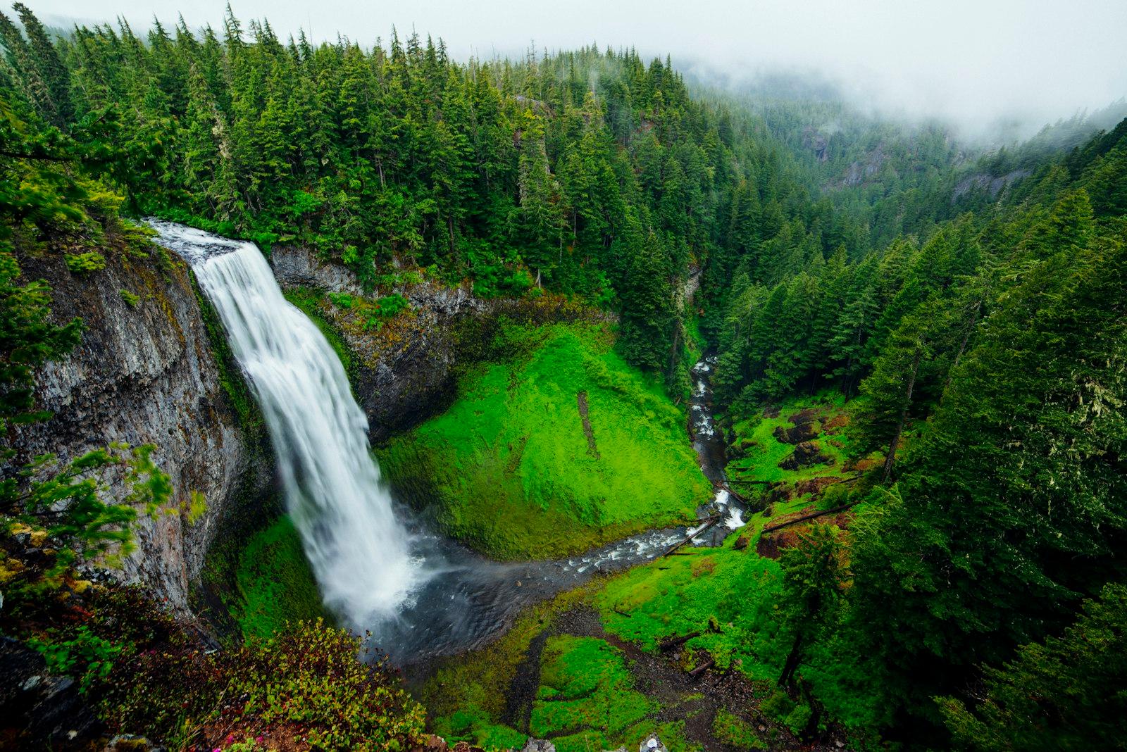 Green Forest Around A Waterfall jigsaw puzzle preview