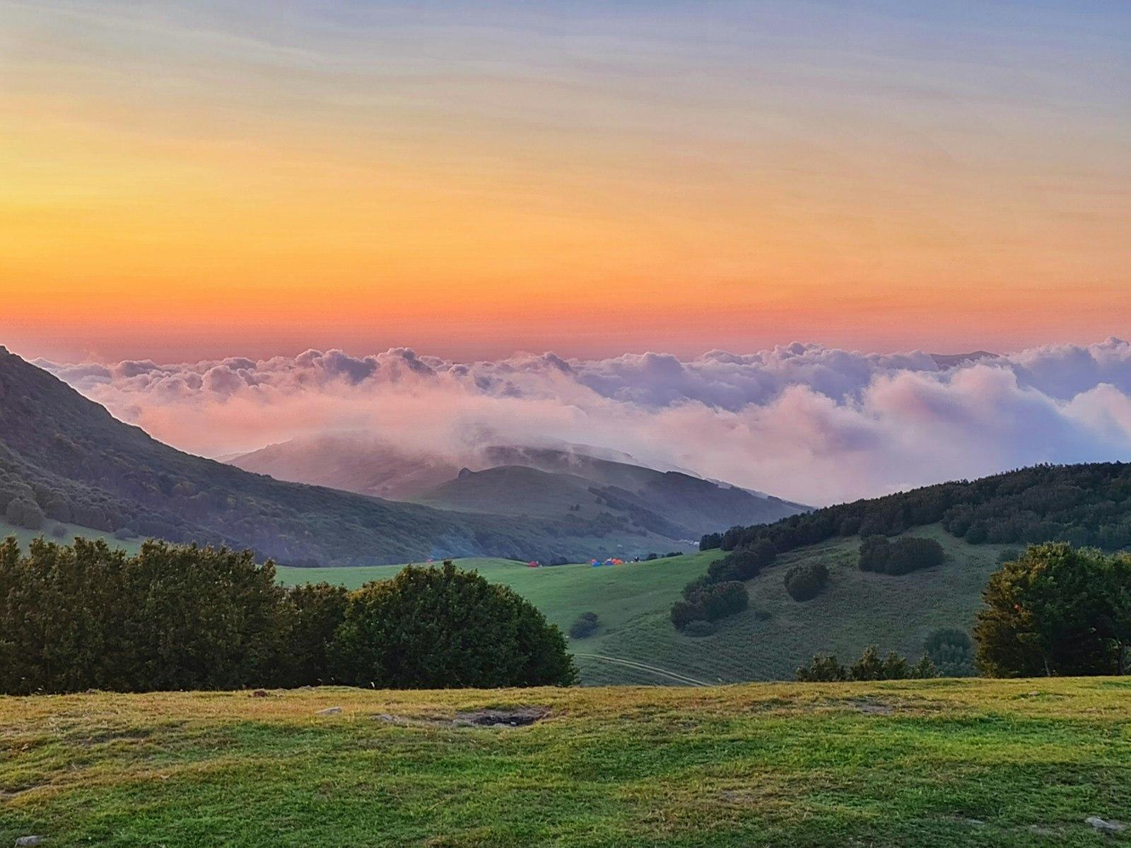Green Grass Field Near Green Trees jigsaw puzzle preview