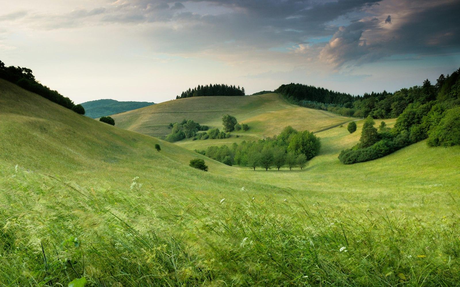 Green Hills With Forest Under Cloudy Sky During Da jigsaw puzzle preview