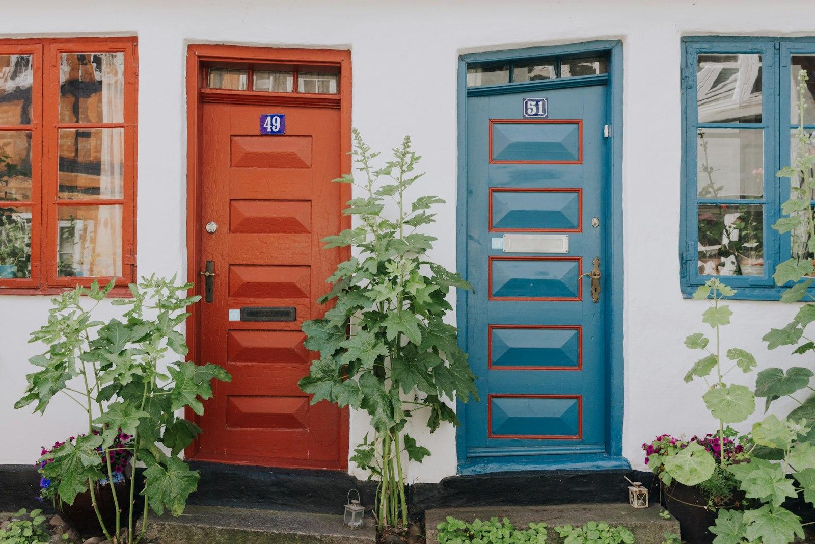 Green Plant Beside Red Wooden Door jigsaw puzzle preview