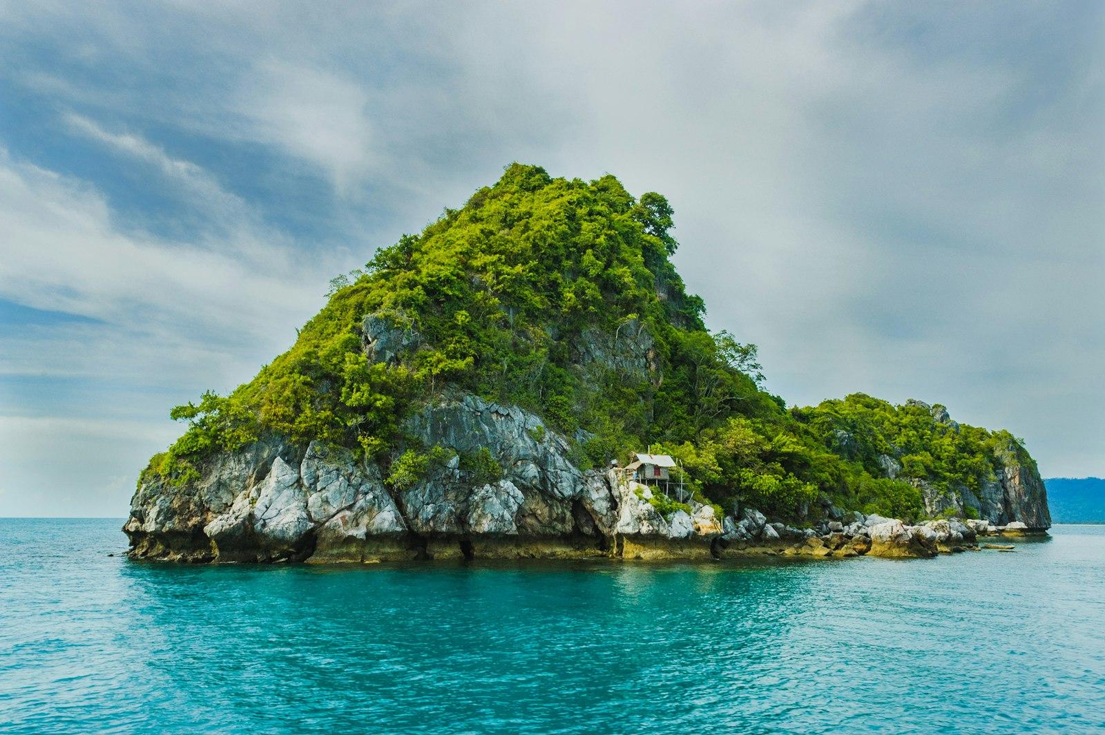 Green Trees On Cliff jigsaw puzzle preview