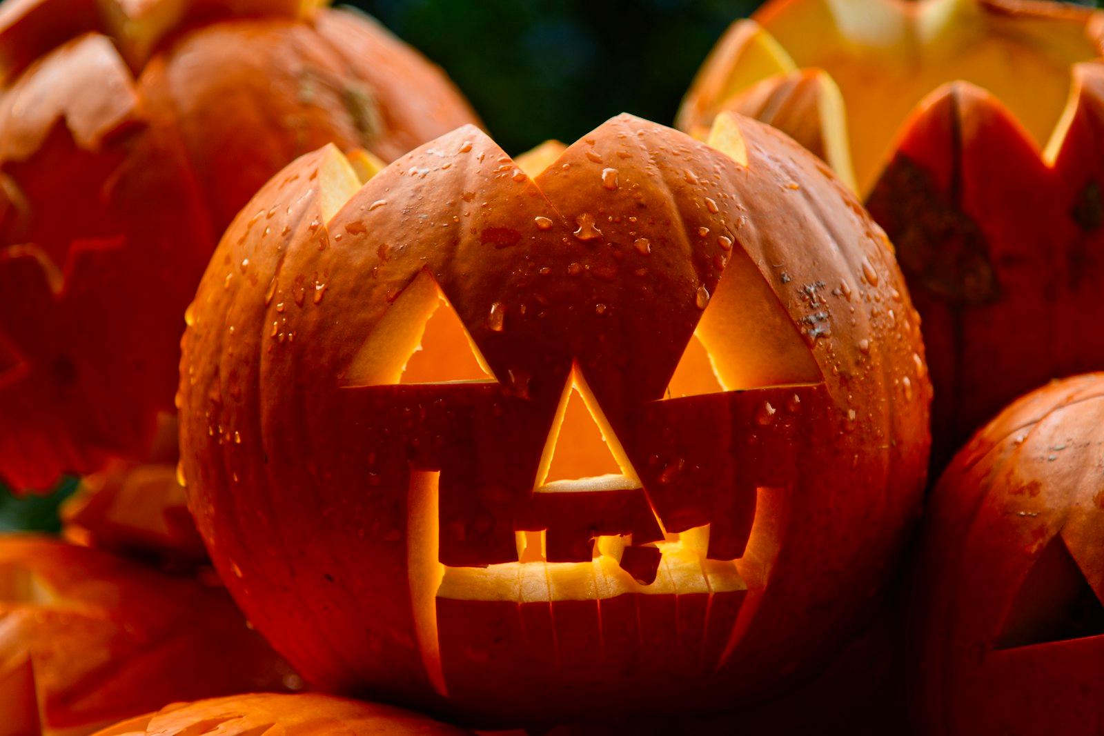 Halloween Pumpkin jigsaw puzzle preview