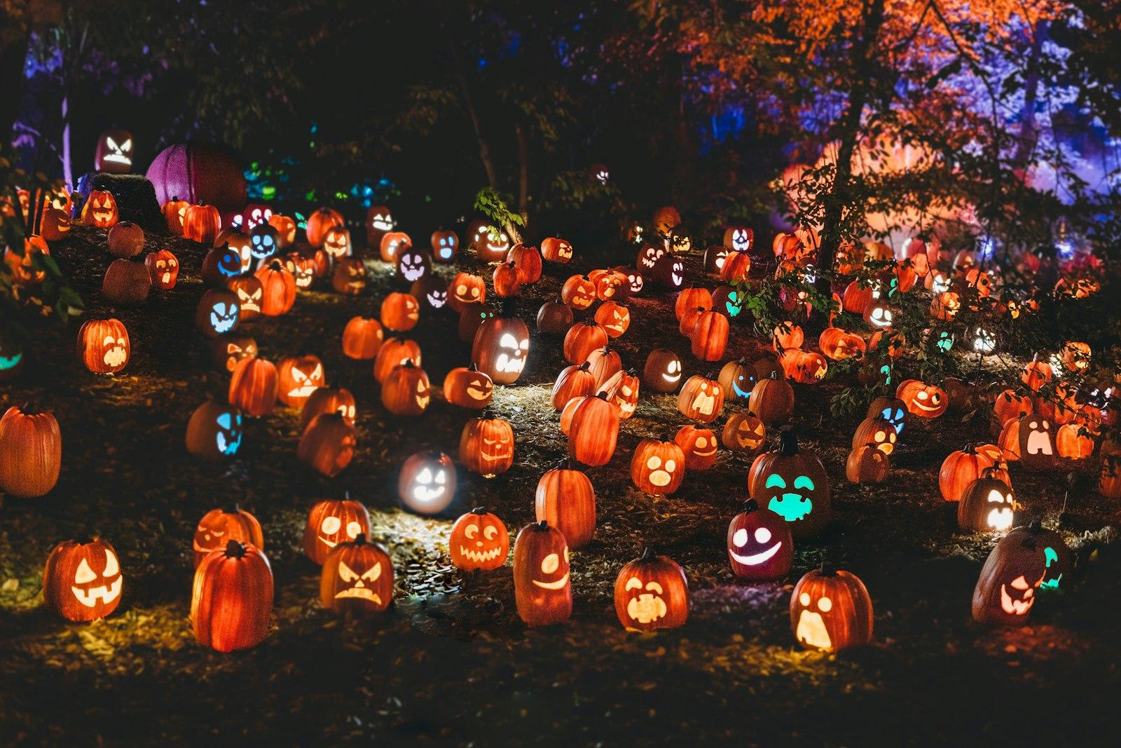 Haunted Pumpkin Patch Lit Up At Night jigsaw puzzle preview