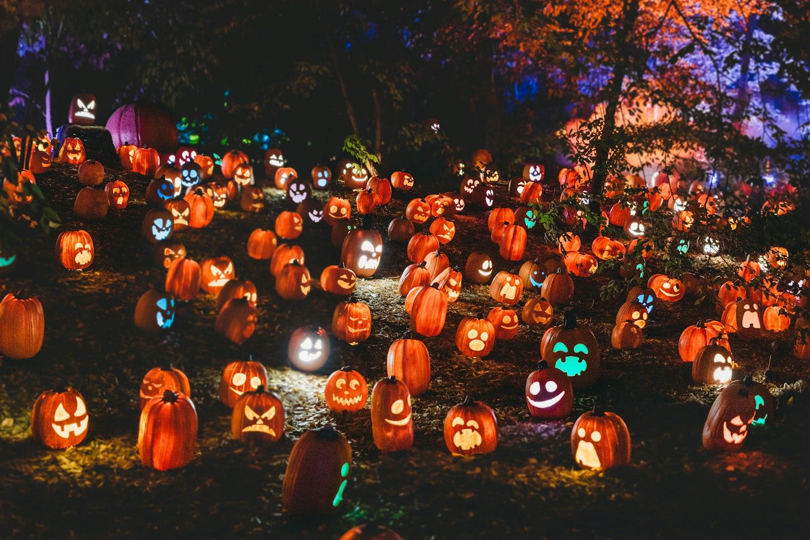 Haunted Pumpkin Patch jigsaw puzzle preview