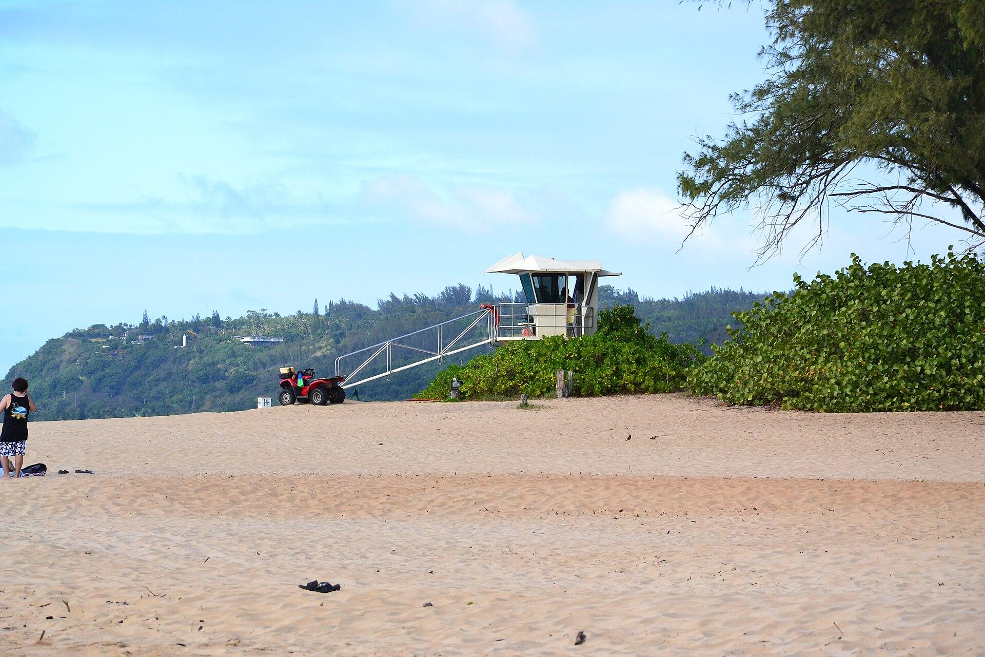 Hawaii North Shore jigsaw puzzle preview