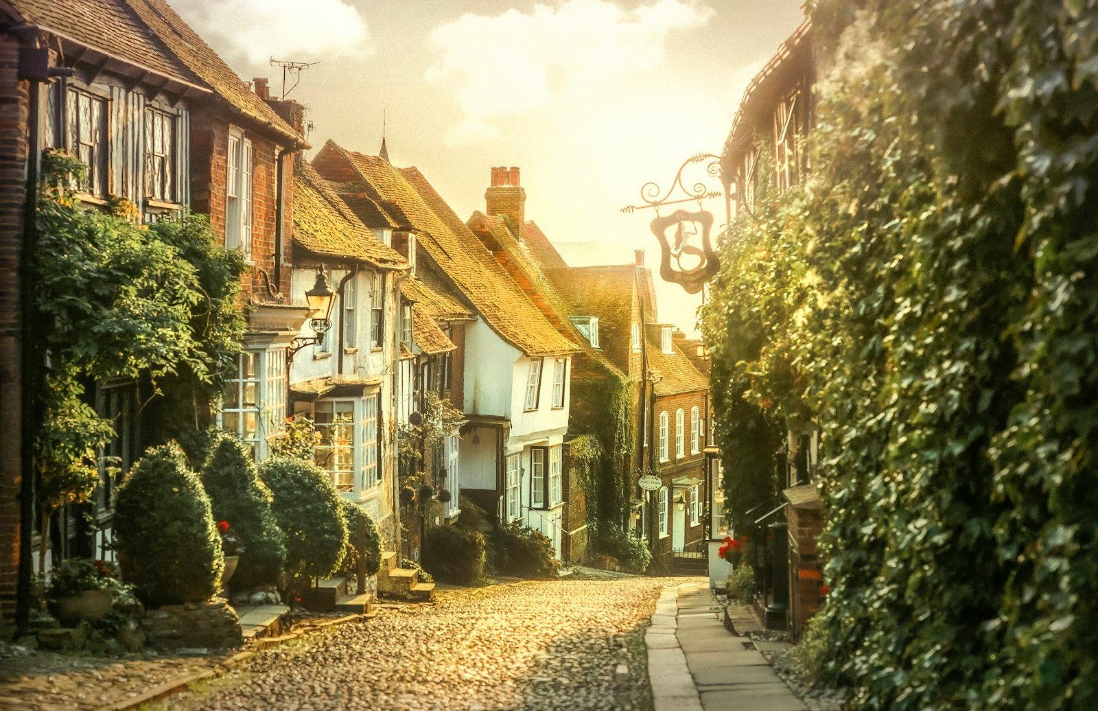 Houses jigsaw puzzle preview