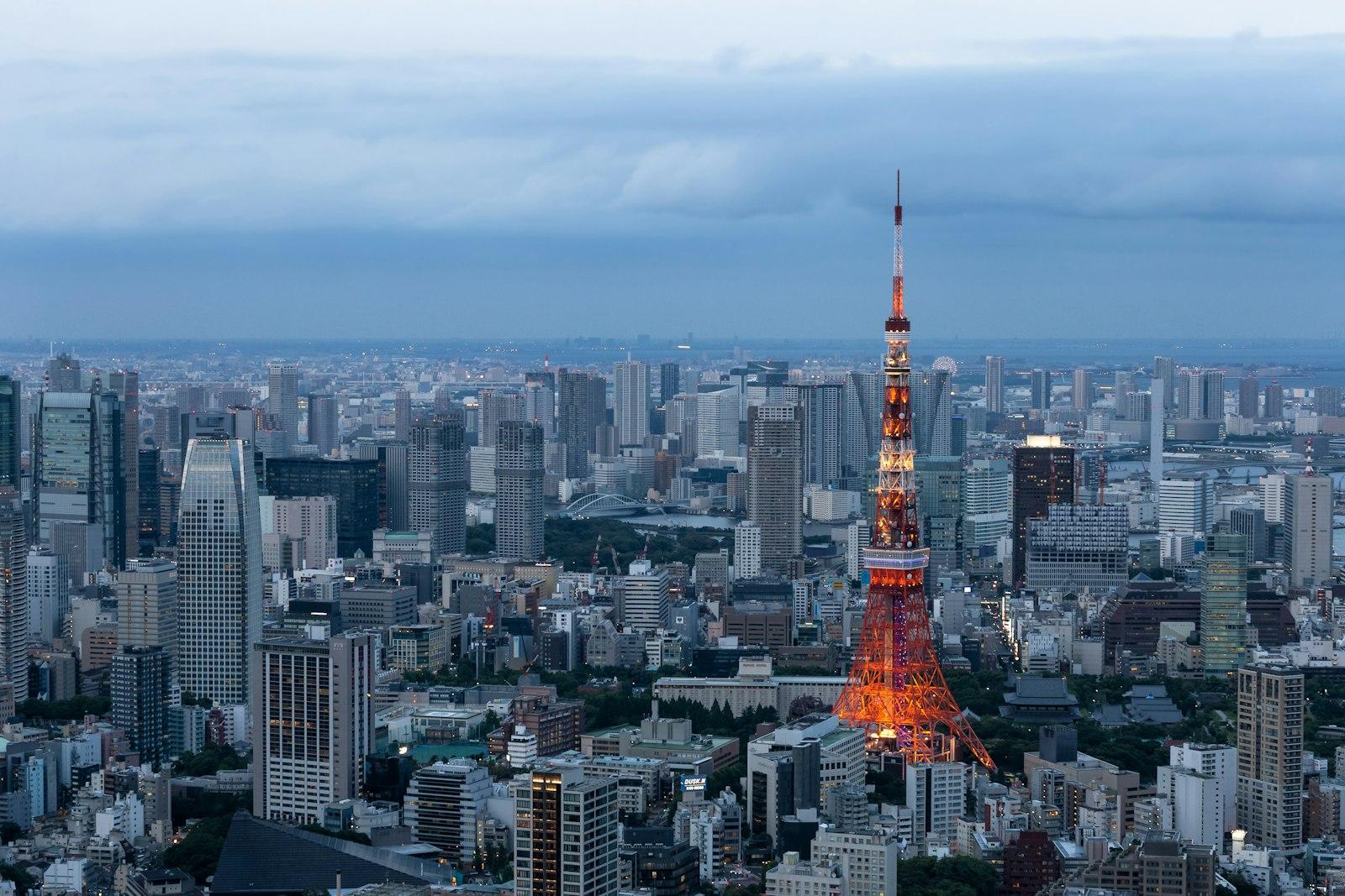 I Took This Photo From Mori Tower Skydeck. jigsaw puzzle preview