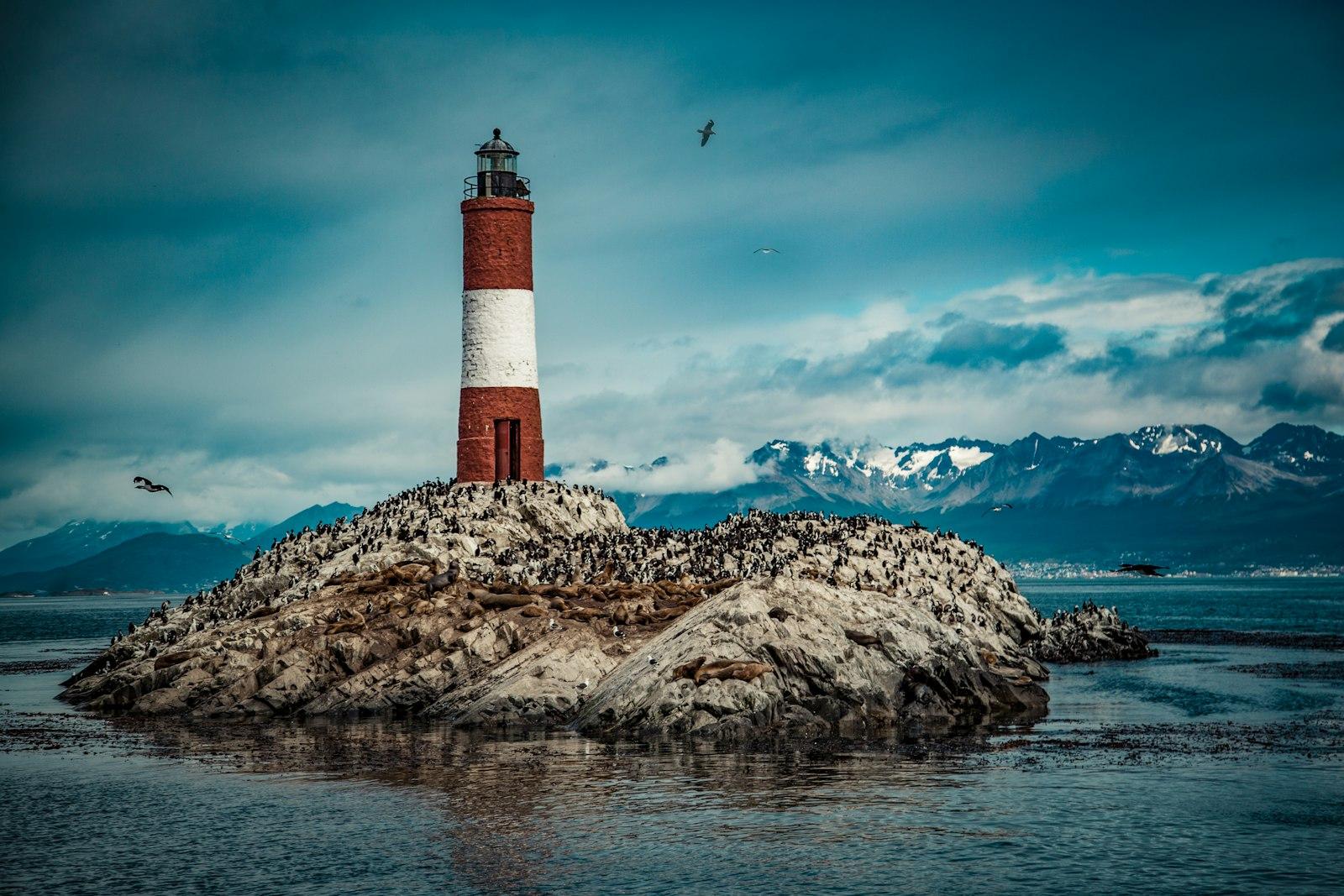 I Took This Shot While Doing A Boat Tour Around Th jigsaw puzzle preview