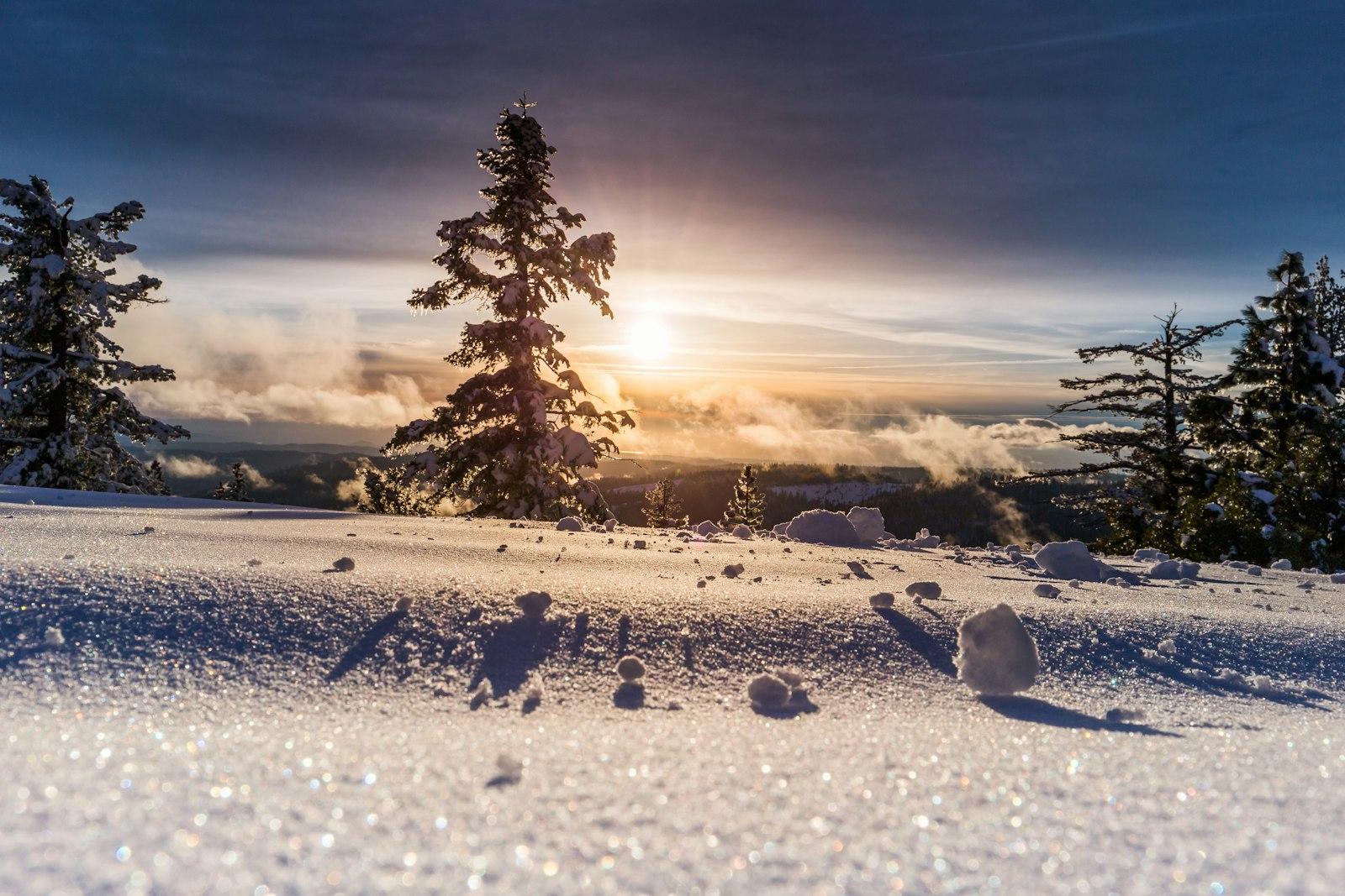 I Was Driving Home From Mammoth Lakes By 88 Somewh jigsaw puzzle preview