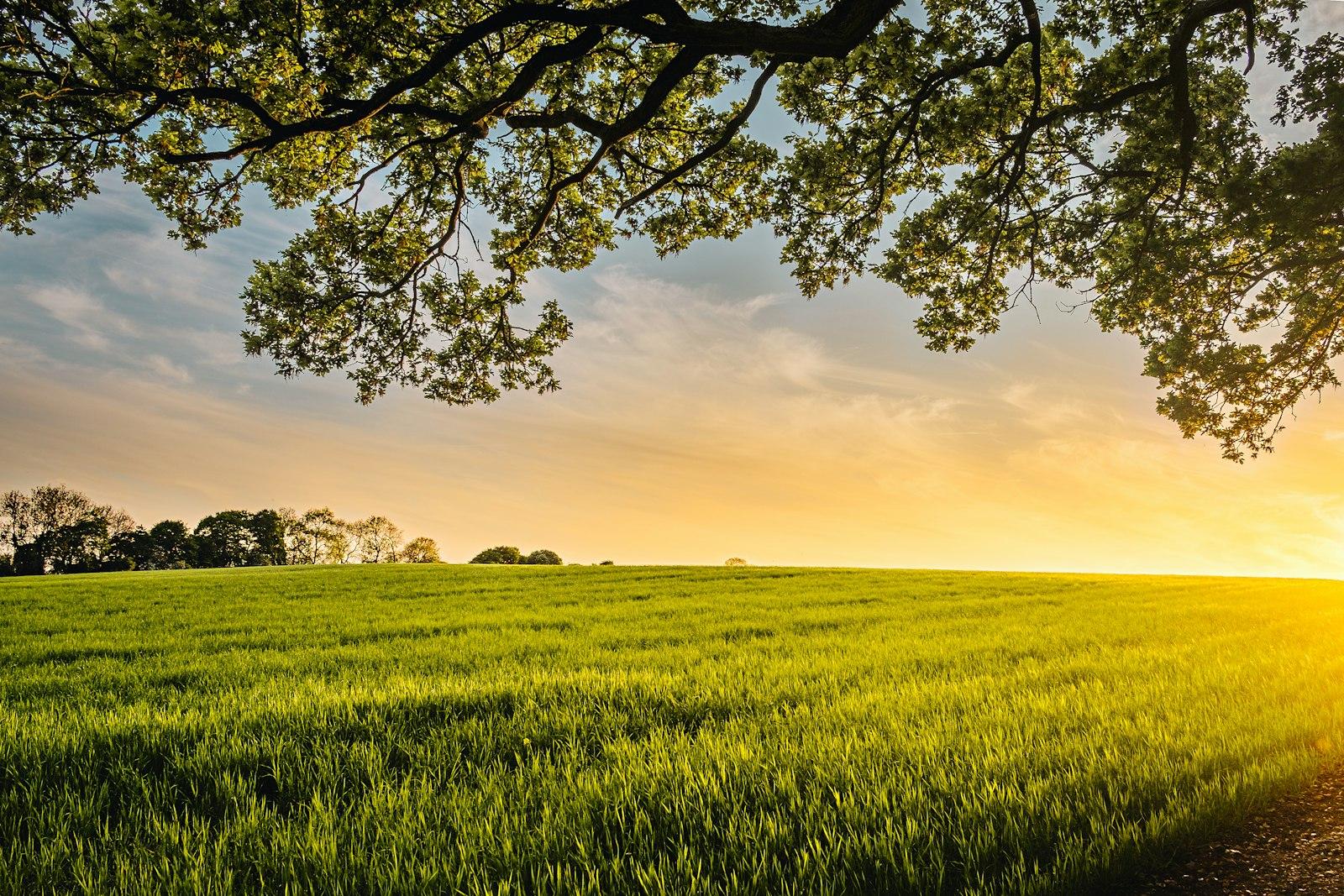 Into The Horizon jigsaw puzzle preview