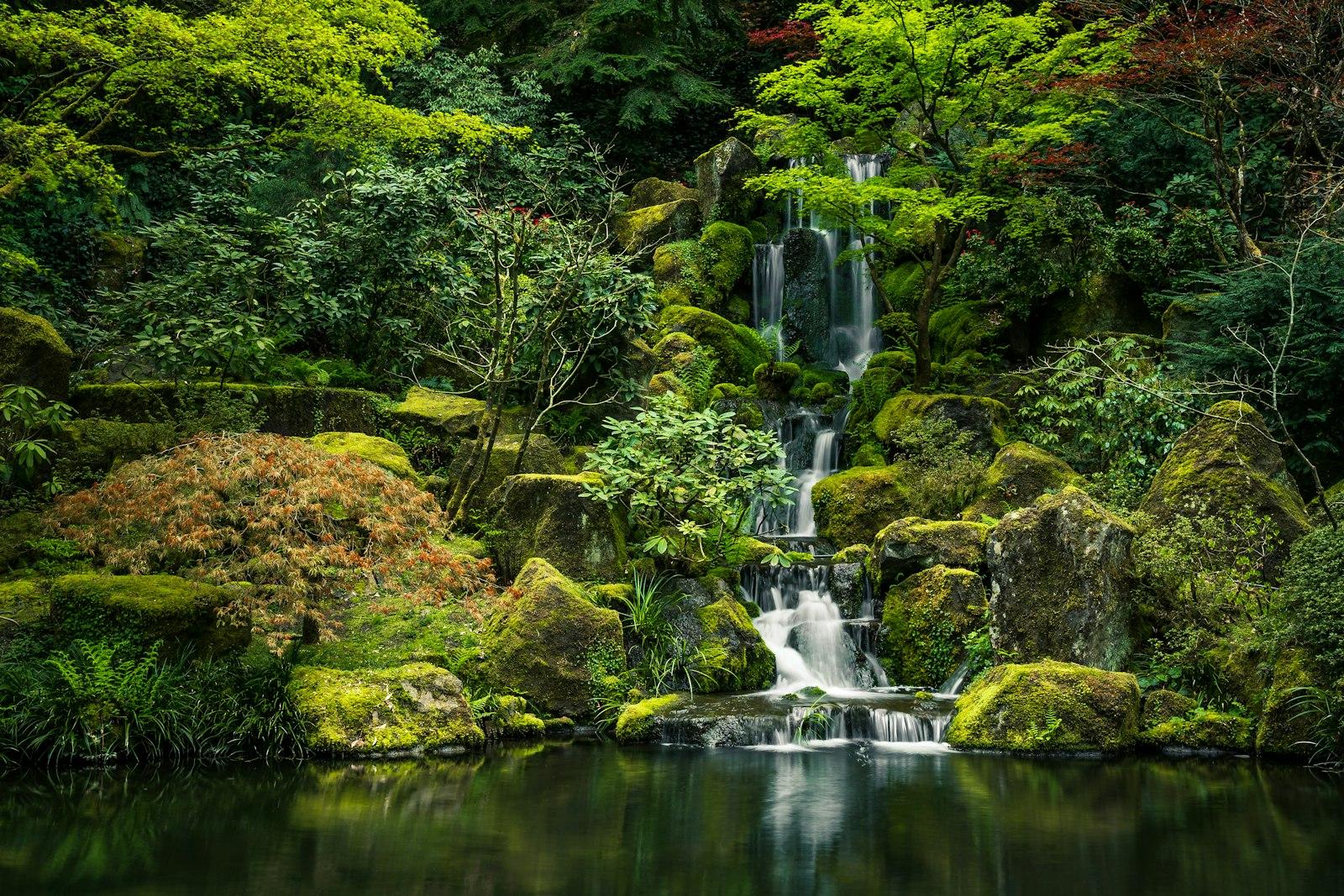 Japanese Garden In Portland, Oregon jigsaw puzzle preview
