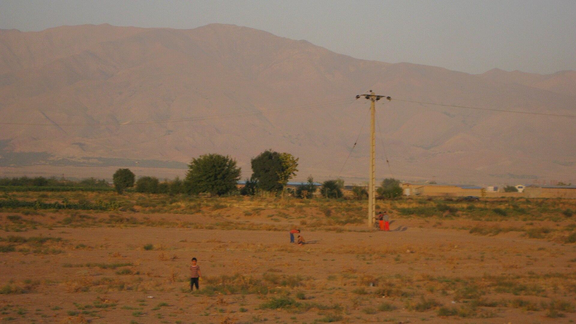 Kids Flying a Kite jigsaw puzzle preview