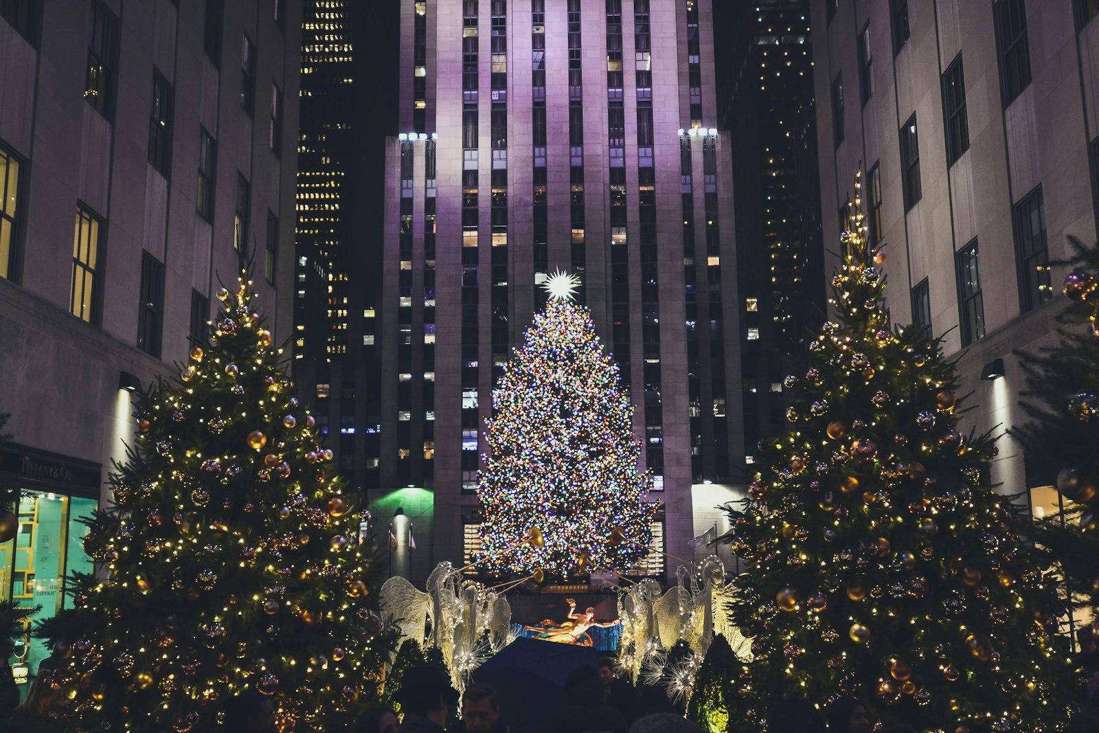 Lighted Christmas Trees jigsaw puzzle preview