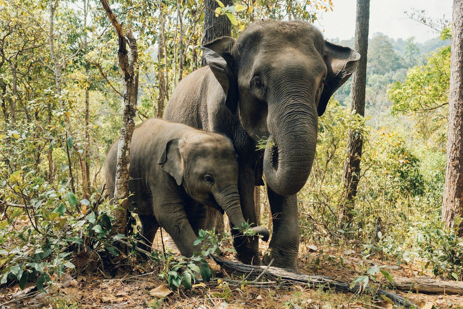 Like The Picture? To Support My Work Check Out Htt jigsaw puzzle preview