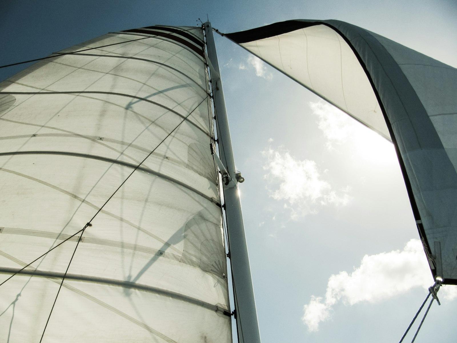 Looking Up At White Canvas Sailboat Sails In The W jigsaw puzzle preview