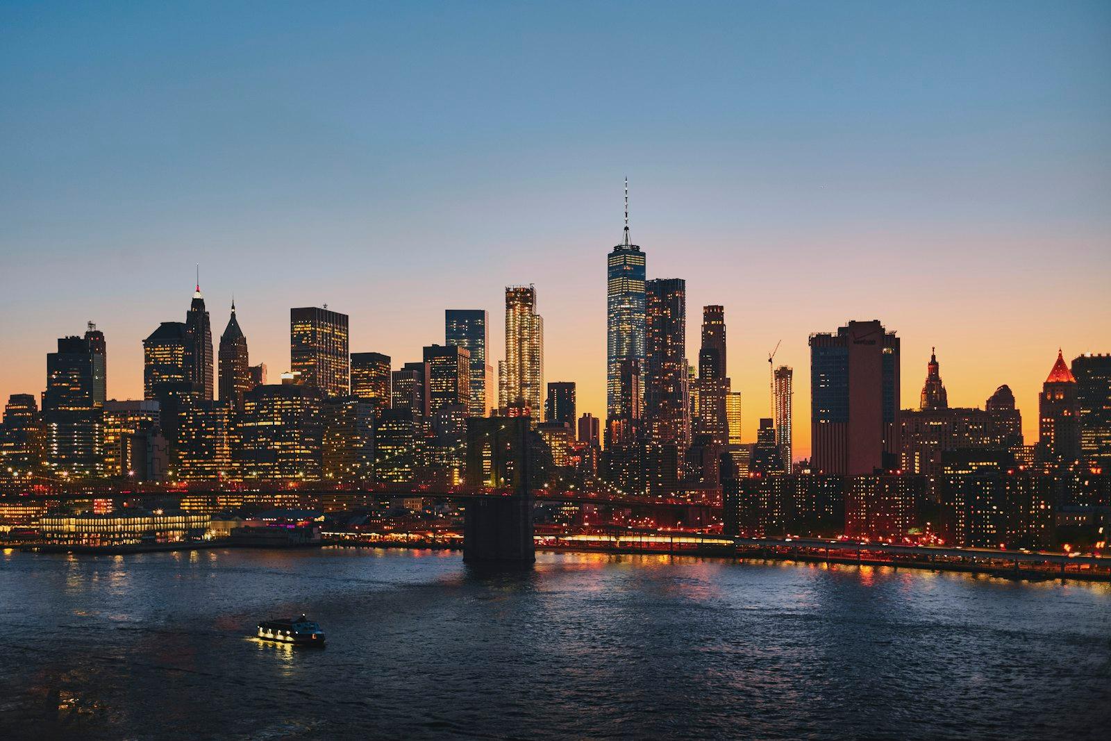 Manhattan In The Distance jigsaw puzzle preview