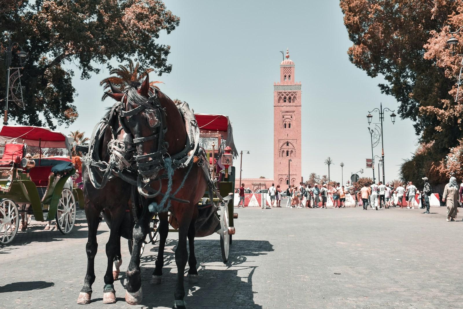 Marrakech jigsaw puzzle preview