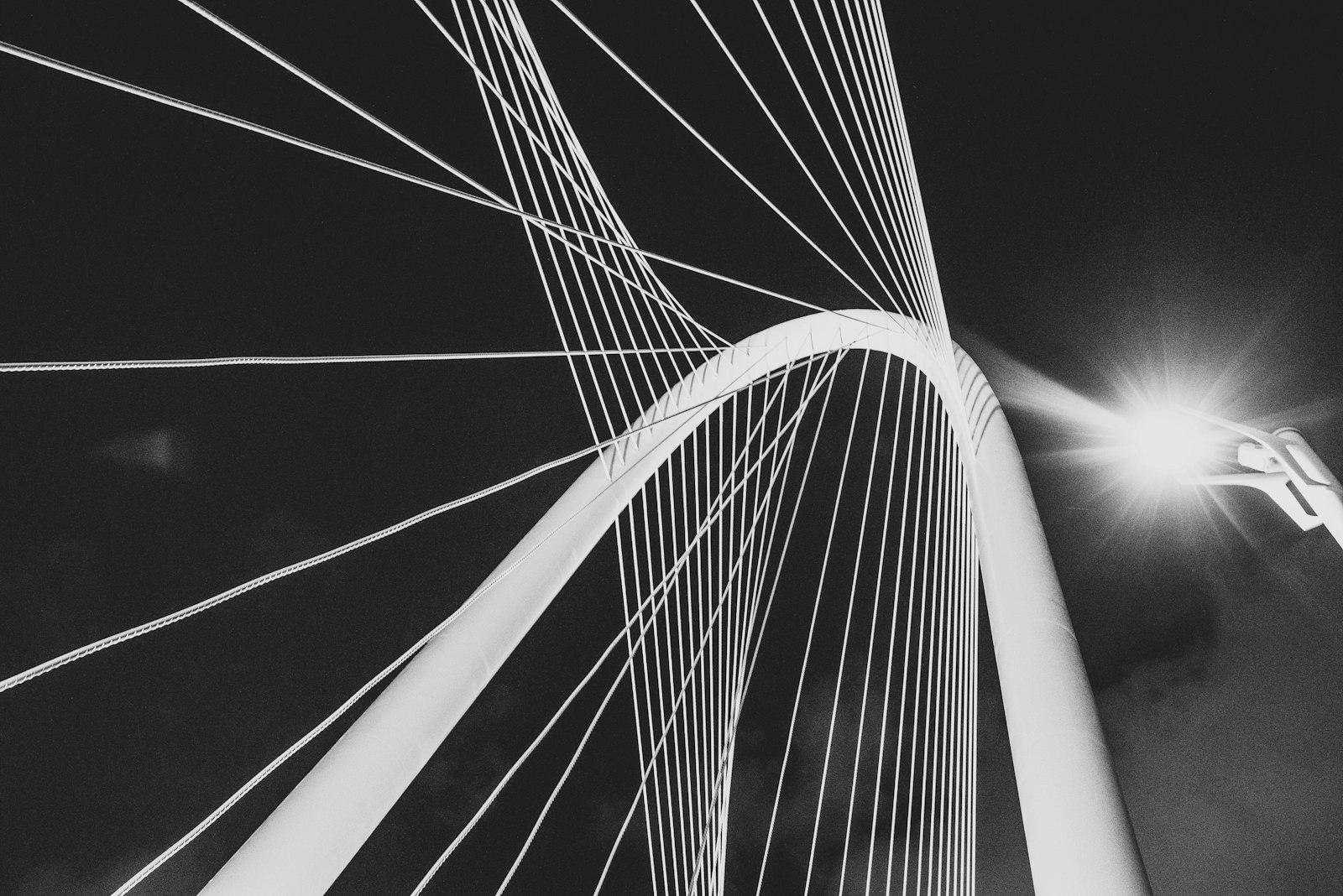 Monochrome Metal Wire Bridge jigsaw puzzle preview