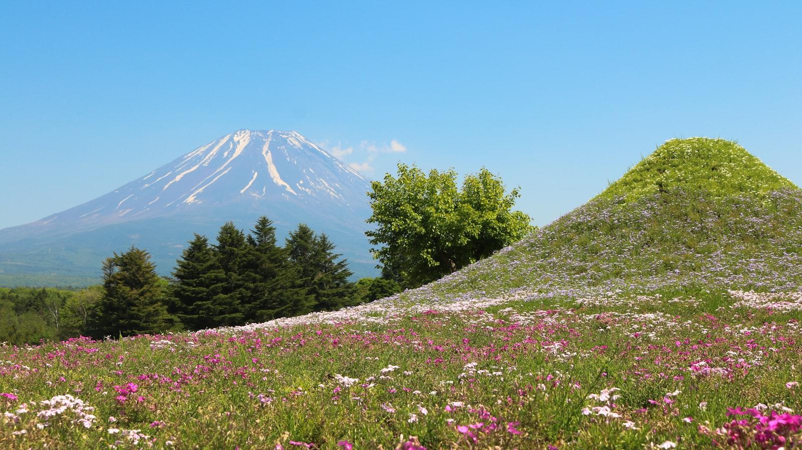 Mount Fuji jigsaw puzzle preview
