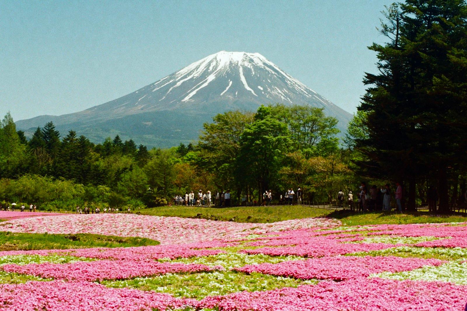 Mount Fuji jigsaw puzzle preview