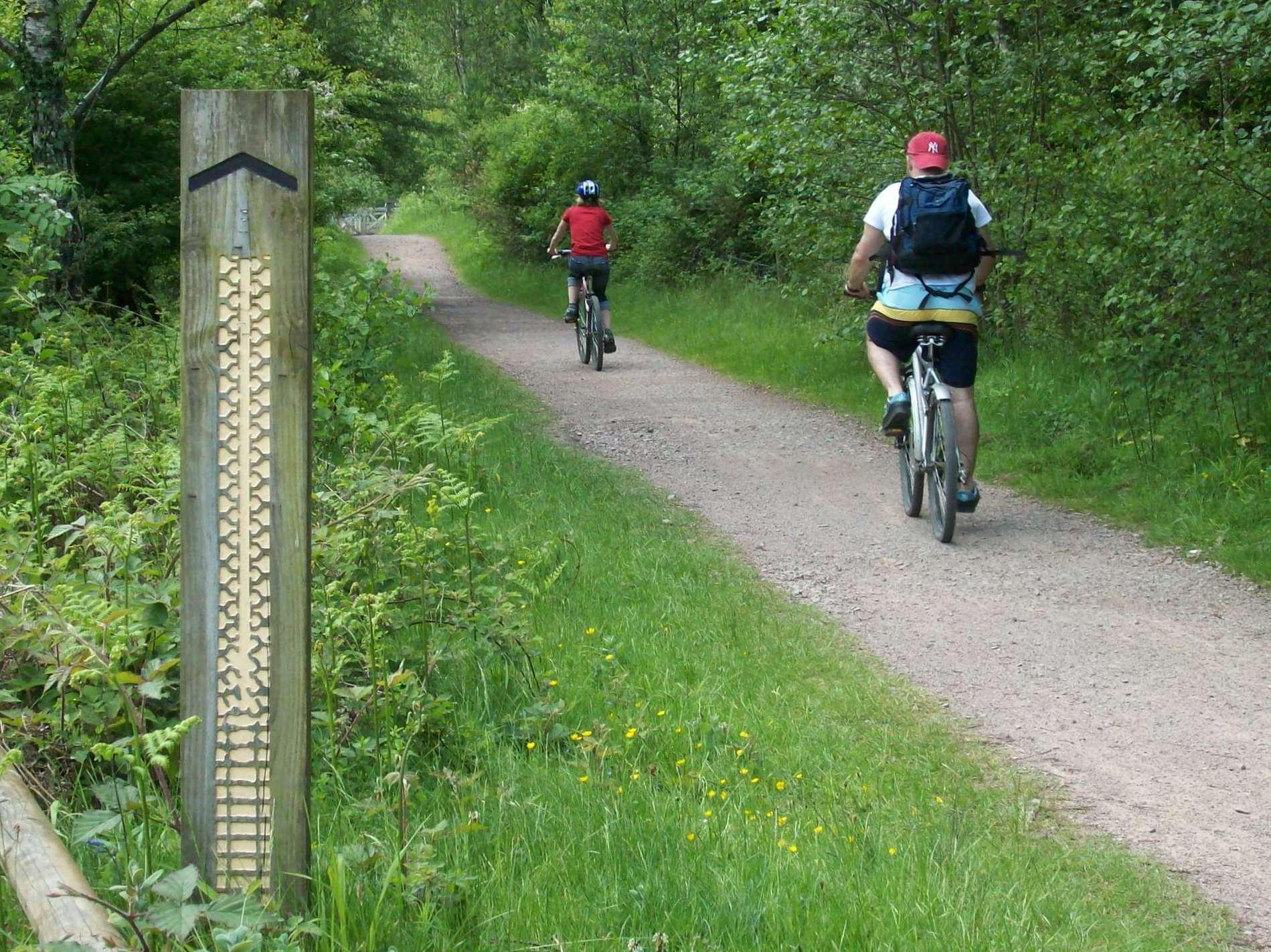 Mountain Biker on a Trail jigsaw puzzle preview