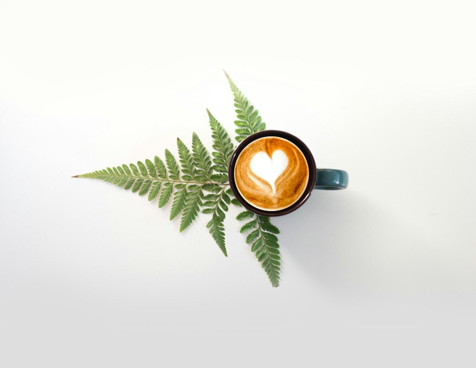 Nature And Coffee In A Frame jigsaw puzzle preview
