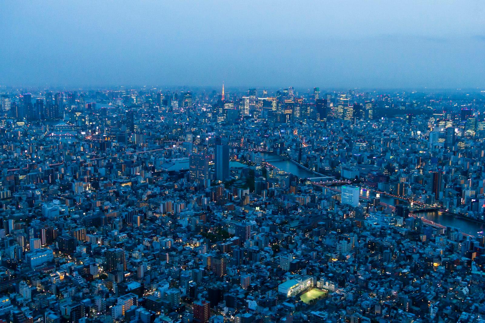 Nigth Over Tokyo jigsaw puzzle preview