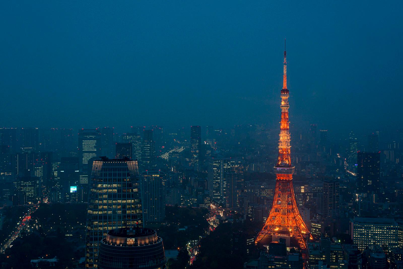 No Tokyo Skyline Photo Can Be Without Tokyo jigsaw puzzle preview