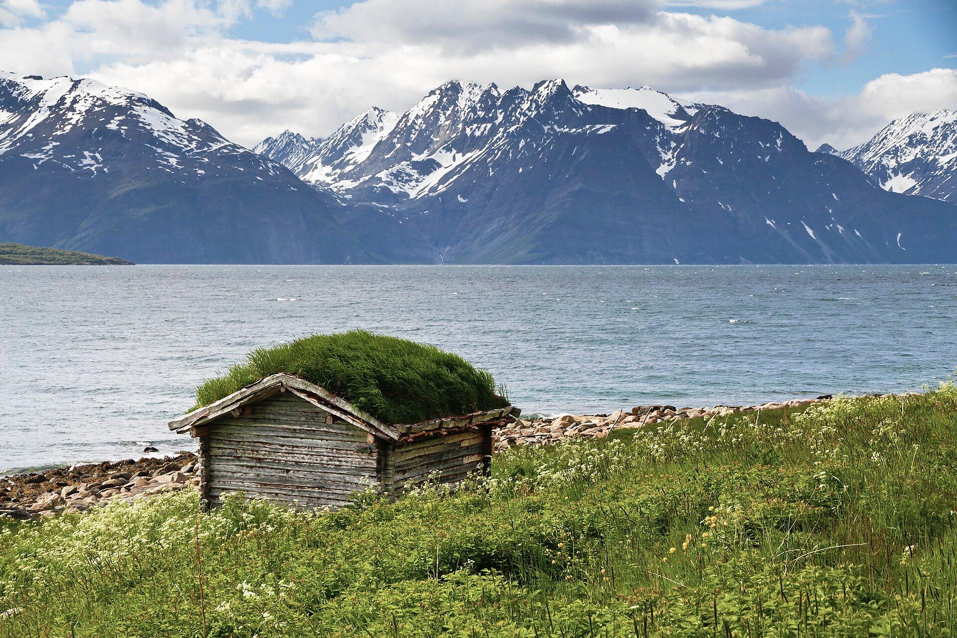 Norwegian Fjord jigsaw puzzle preview