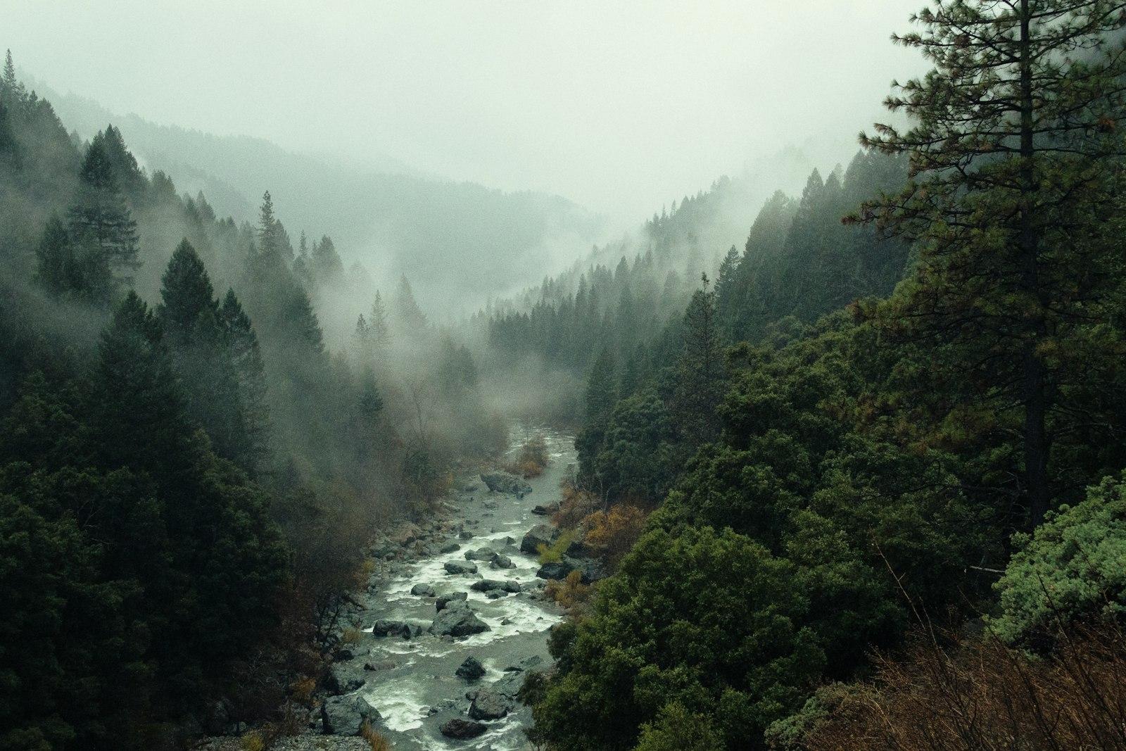 Nov In Sierra jigsaw puzzle preview