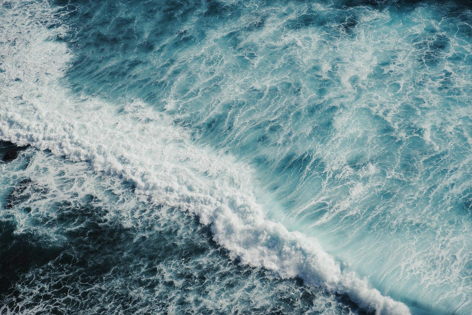 Ocean jigsaw puzzle preview