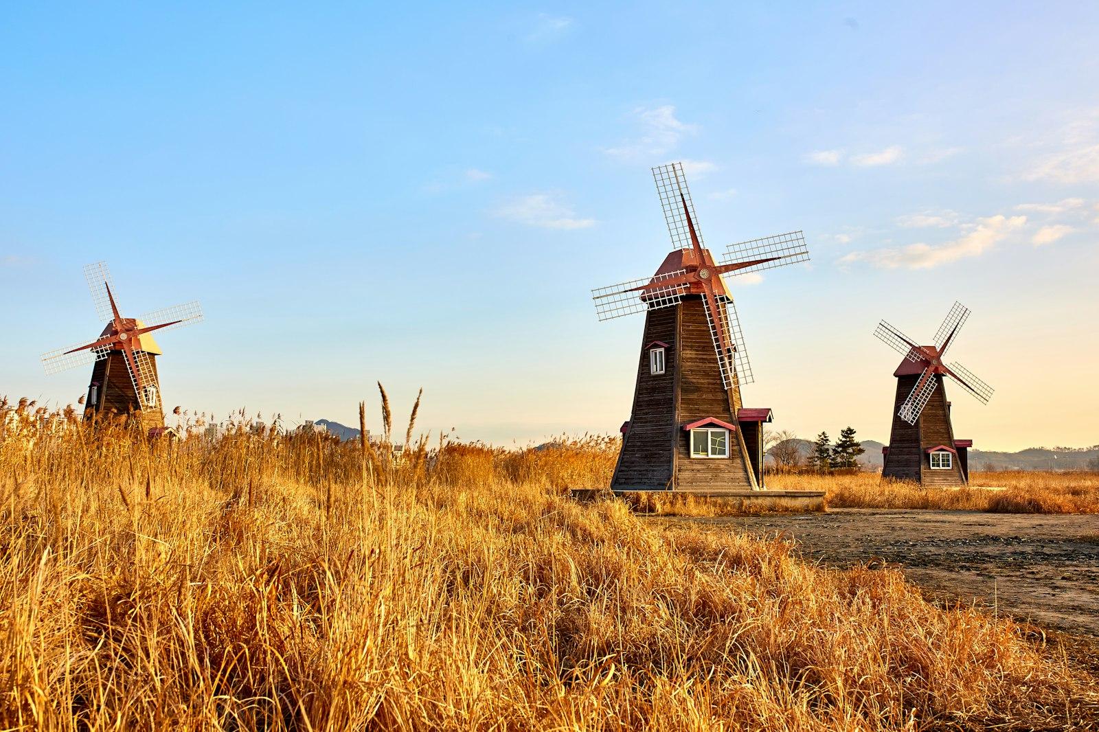 Old Field With Windmills In South Korea During Sun jigsaw puzzle preview
