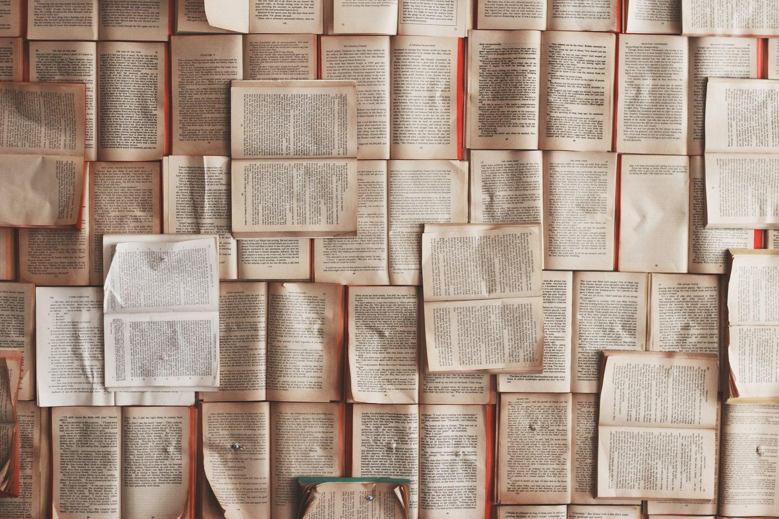 Open Book Lot jigsaw puzzle preview