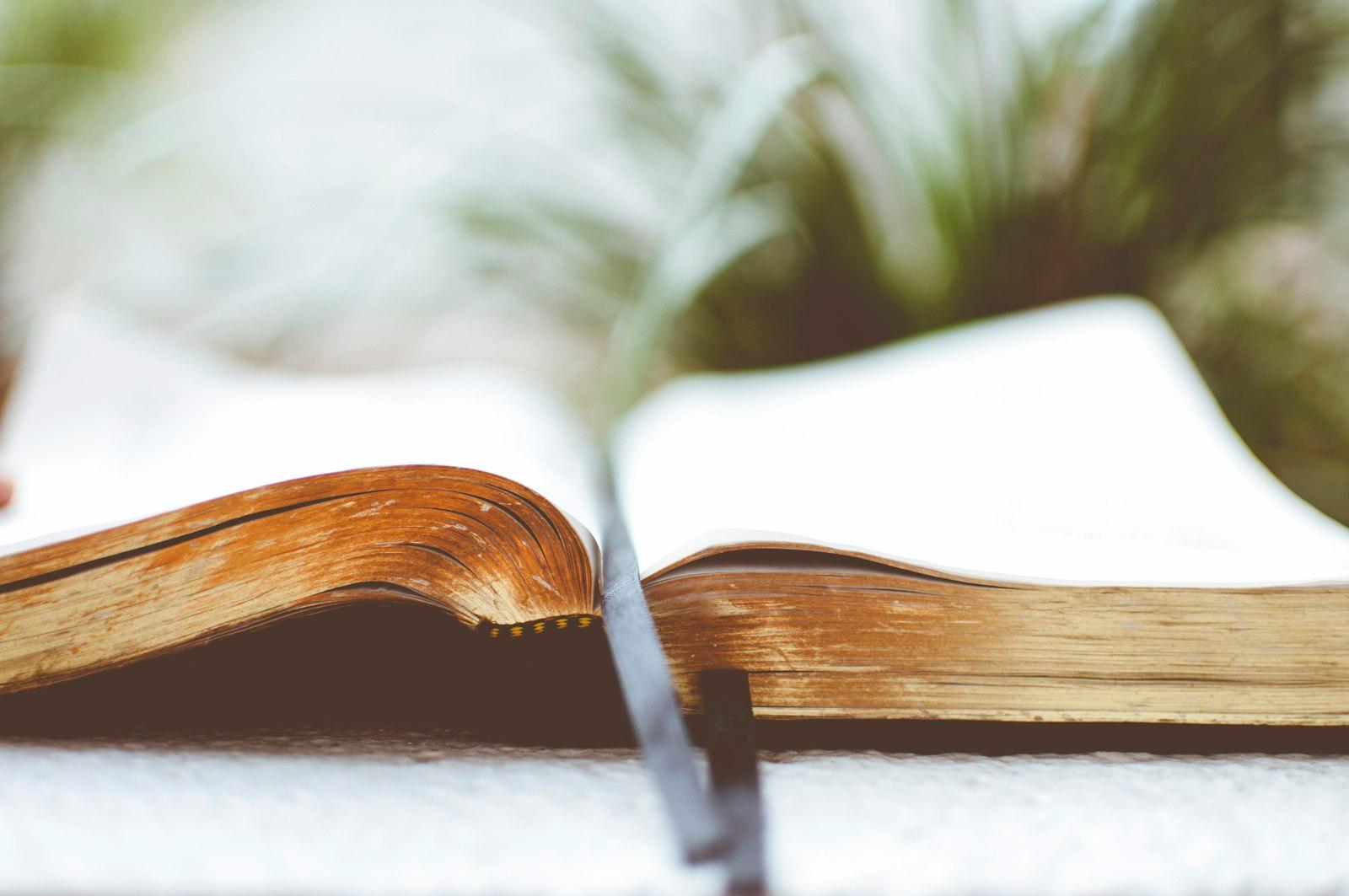 Open Book jigsaw puzzle preview